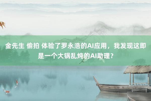 金先生 偷拍 体验了罗永浩的AI应用，我发现这即是一个大锅乱炖的AI助理？