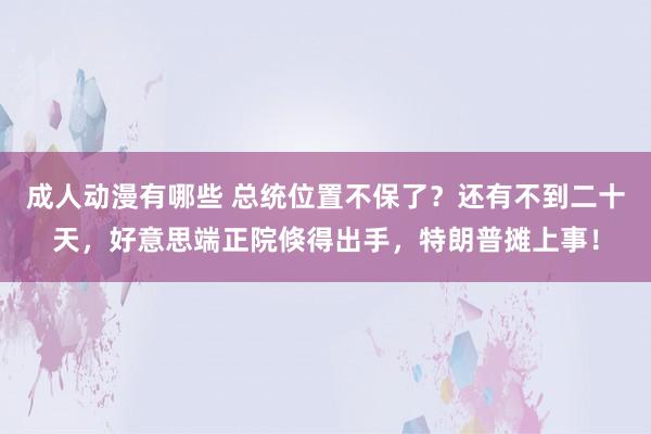 成人动漫有哪些 总统位置不保了？还有不到二十天，好意思端正院倏得出手，特朗普摊上事！