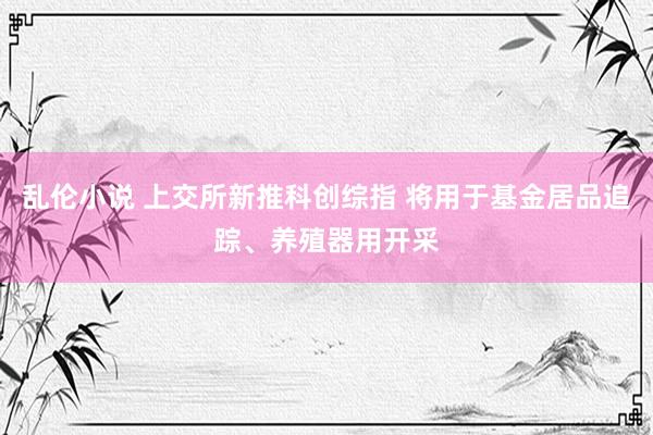 乱伦小说 上交所新推科创综指 将用于基金居品追踪、养殖器用开采