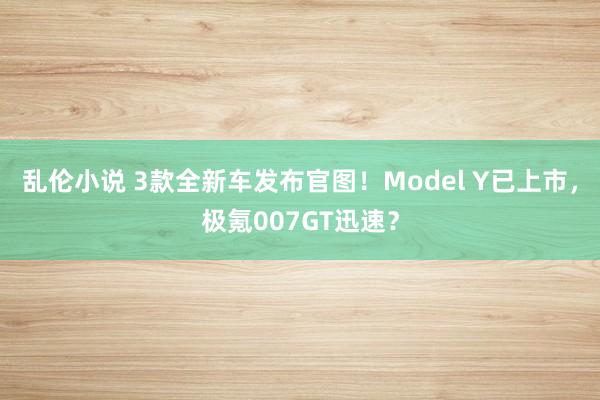 乱伦小说 3款全新车发布官图！Model Y已上市，极氪007GT迅速？