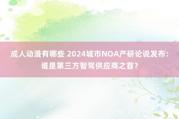 成人动漫有哪些 2024城市NOA产研论说发布：谁是第三方智驾供应商之首？