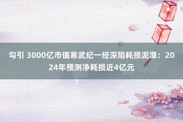 勾引 3000亿市值寒武纪一经深陷耗损泥潭：2024年预测净耗损近4亿元