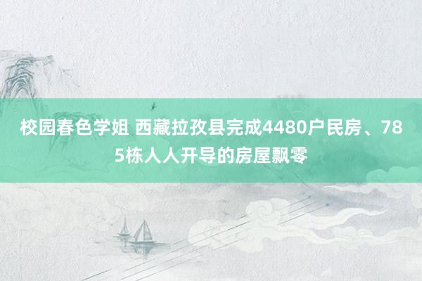 校园春色学姐 西藏拉孜县完成4480户民房、785栋人人开导的房屋飘零