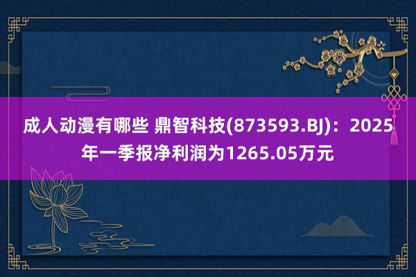 成人动漫有哪些 鼎智科技(873593.BJ)：2025年一季报净利润为1265.05万元