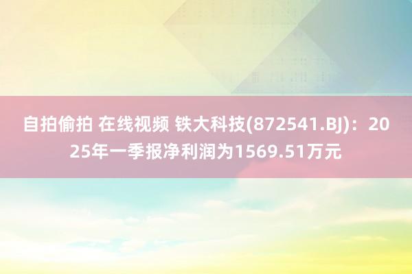 自拍偷拍 在线视频 铁大科技(872541.BJ)：2025年一季报净利润为1569.51万元
